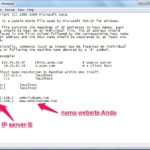 Memaksa Domain Mengarah ke IP Tertentu